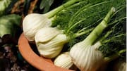 சோம்பு கிழங்கு (Fennel Bulb): உங்கள் சமையலை மேம்படுத்தும் 5 ருசியான சமையல் குறிப்புகள்!