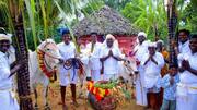 பொங்கல் ஸ்பெஷல்: மாட்டு பொங்கல் பற்றி சில தகவல்கள்