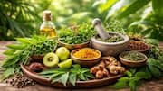 மழைக்கால ஆரோக்கியம்: அற்புதமான ஆரோக்கியப் பலன்களைத் தரும் 5 கிழங்குகள்