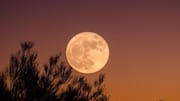 Wolf Supermoon: 2026ஆம் ஆண்டின் முதல் பௌர்ணமியை எப்போது, ​​எப்படிப் பார்ப்பது
