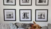 சிறிய அபார்ட்மென்ட் இடங்களில் குடும்பப் புகைப்படங்களை எப்படி அலங்கரிப்பது?