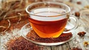 ஹனிபுஷ் டீயின் சிறப்புகளைப் பார்ப்போம்