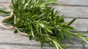 ரோஸ்மேரி: நோய் எதிர்ப்பு சக்தியை மேம்படுத்தும் இயற்கையின் அரண்!