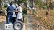 வைரல் வீடியோ: ஜங்கிள் சஃபாரியின் போது கவிழ்ந்த ஜீப்