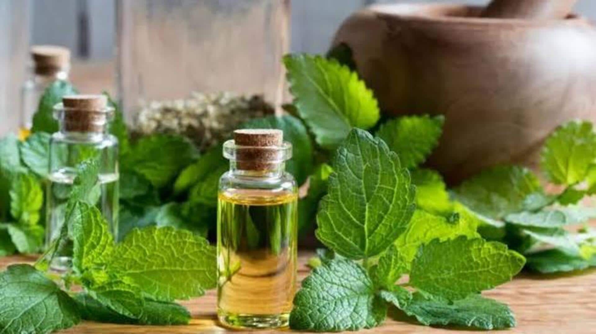 புதினா இலைகள்: உங்கள் இயற்கையான தலைவலி மருந்து!