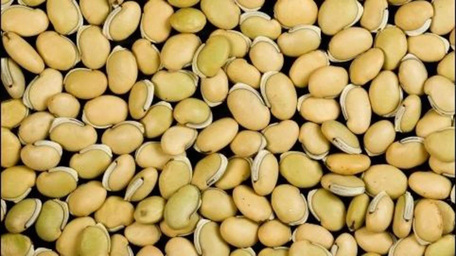 மராமா பீன்ஸ் ஏன் உங்கள் உடல்நலத்திற்கு ரொம்ப நல்லது?