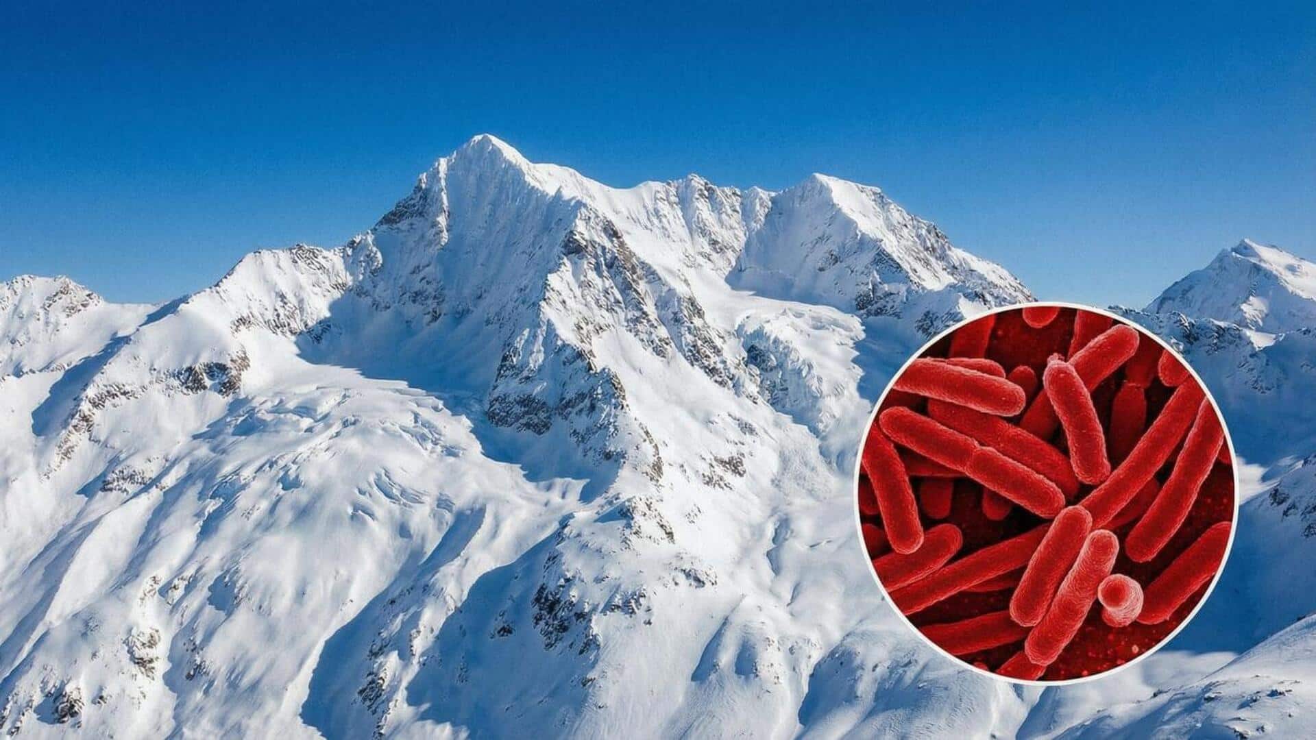 அண்டார்டிகாவில் புதிய வகை பாக்டீரியாவைக் கண்டறிந்த இந்திய விஞ்ஞானிகள்