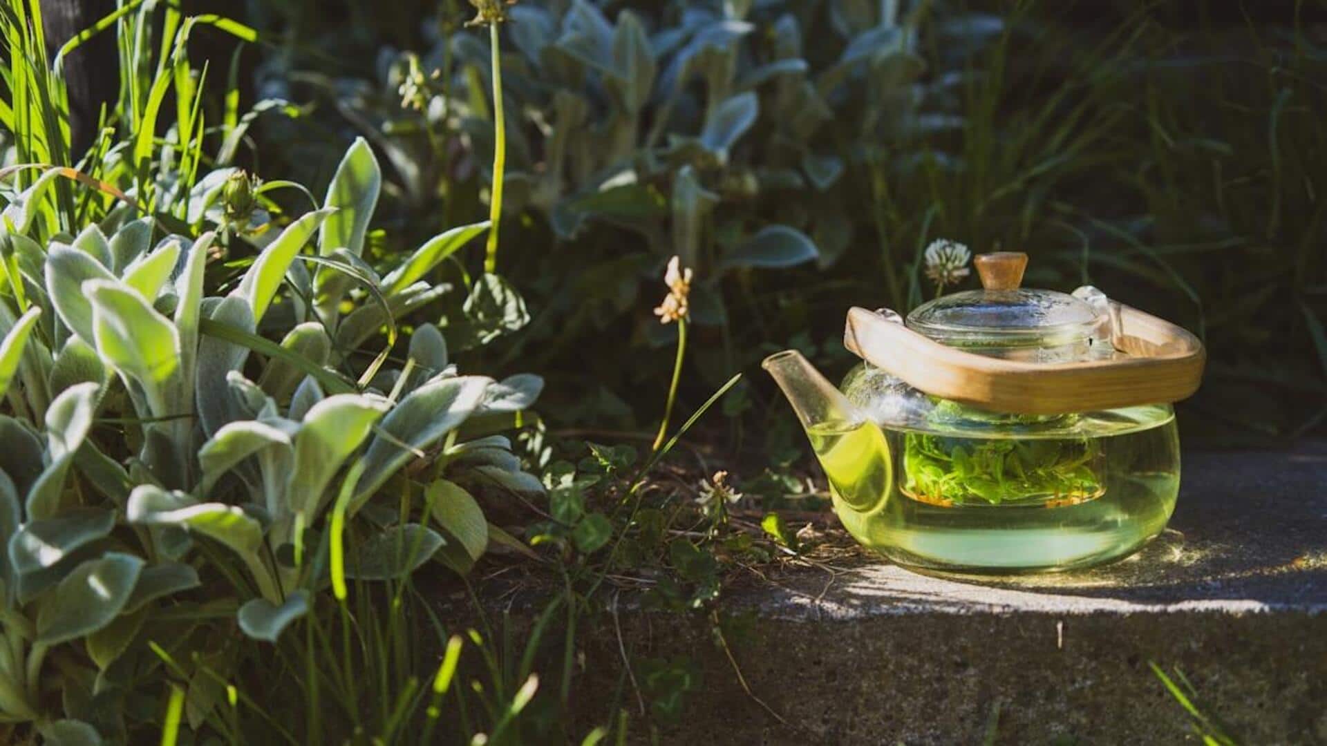 வயிறு உப்புசம் உடனே குறையணுமா? செரிமானப் பிரச்சினைகளுக்கு முற்றுப்புள்ளி வைக்கும் லெமன் பாம் டீ! இதோ அதன் ரகசியம்