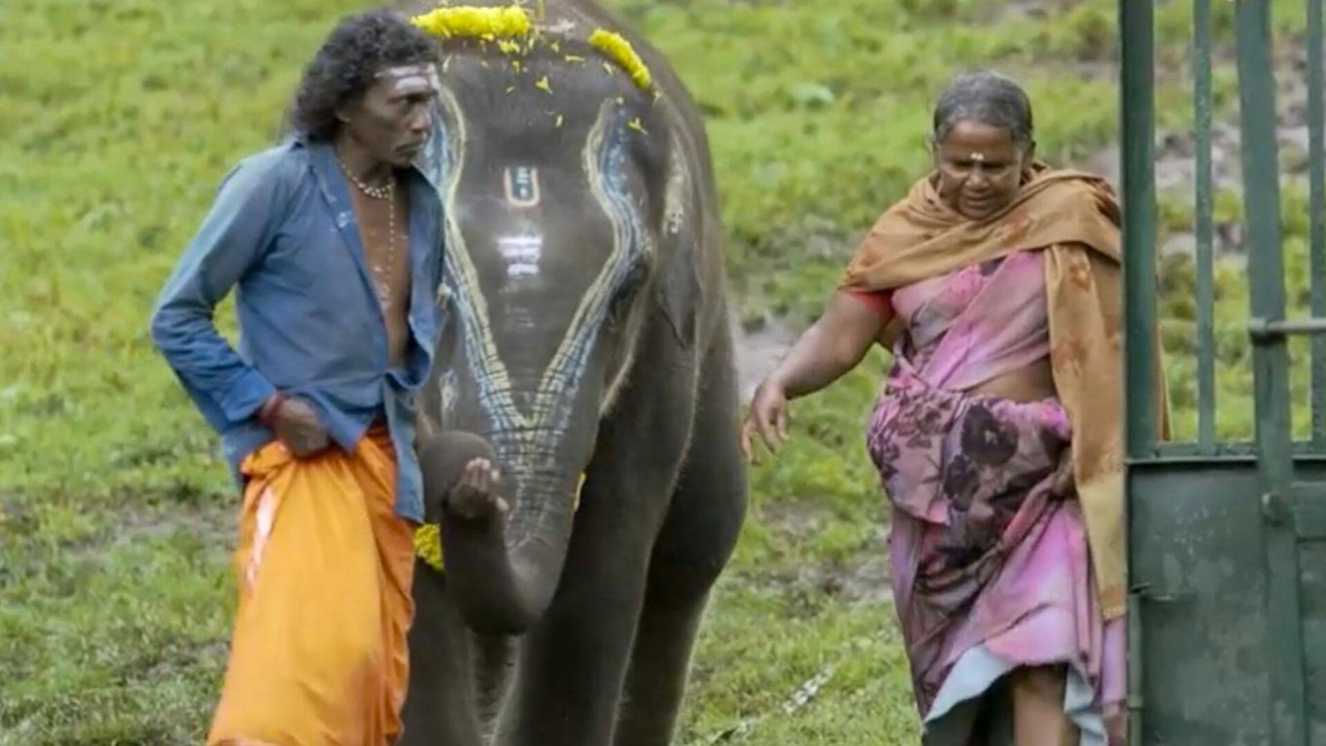 இயக்குனர் கார்த்திகி கோன்சால்வஸ் மீது வழக்கு: பொம்மன்-பெல்லி தம்பதி குற்றச்சாட்டு