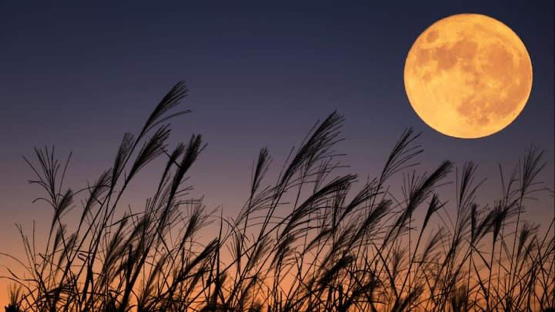 செப்டம்பர் 17 அன்று Harvest Moon-ன் அரிய பகுதி கிரகணத்தை காணலாம்