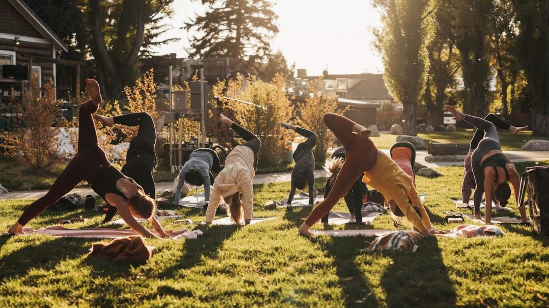 அனிமல் ஃப்ளோ: உடற்பயிற்சி பிரியர்களுக்கான ஒரு பயனுள்ள பயிற்சி