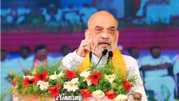 'எதிர்க்கட்சிகள் இந்து மதத்தை வெறுக்கின்றன': உதயநிதியின் கருத்துக்கு அமித்ஷா பதில் 