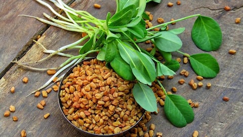 வெந்தயம்: சர்க்கரை நோய் மற்றும் தலைமுடி ஆரோக்கியத்திற்கான இயற்கையான தீர்வு!