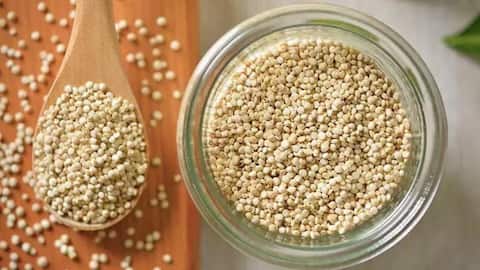 கினோவா முளைகள்: சிறந்த செரிமானத்திற்கான ரகசியம்