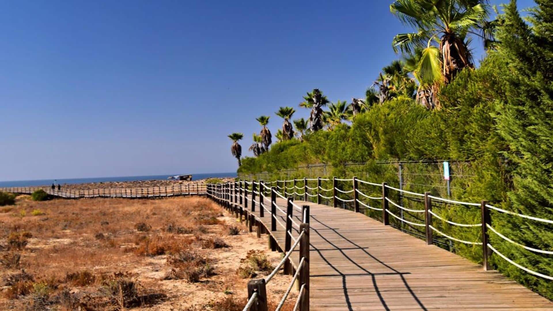 போர்ச்சுகலின் மிக அழகான கடற்கரை நடைப்பயணங்கள்: நீங்கள் தெரிந்துகொள்ள வேண்டியவை