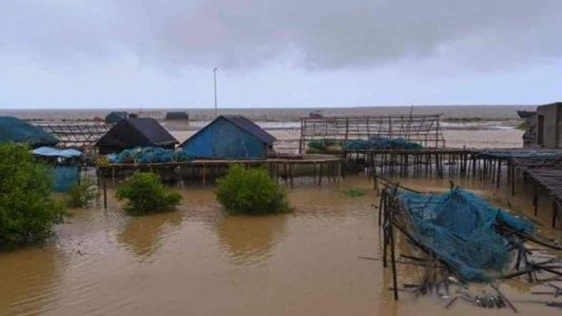 கரையை கடந்த டாணா புயல்; மரங்களை வேரோடு சாய்த்த சூறைக்காற்று