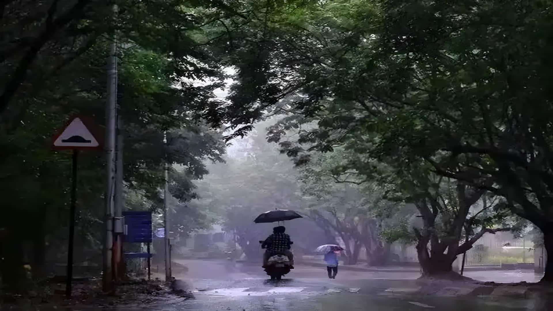 நெல்லை, தேனி, குமரி உள்ளிட்ட 3 மாவட்டங்களில் இன்று கனமழைக்கு வாய்ப்பு; சென்னைக்கு என்ன நிலவரம்?