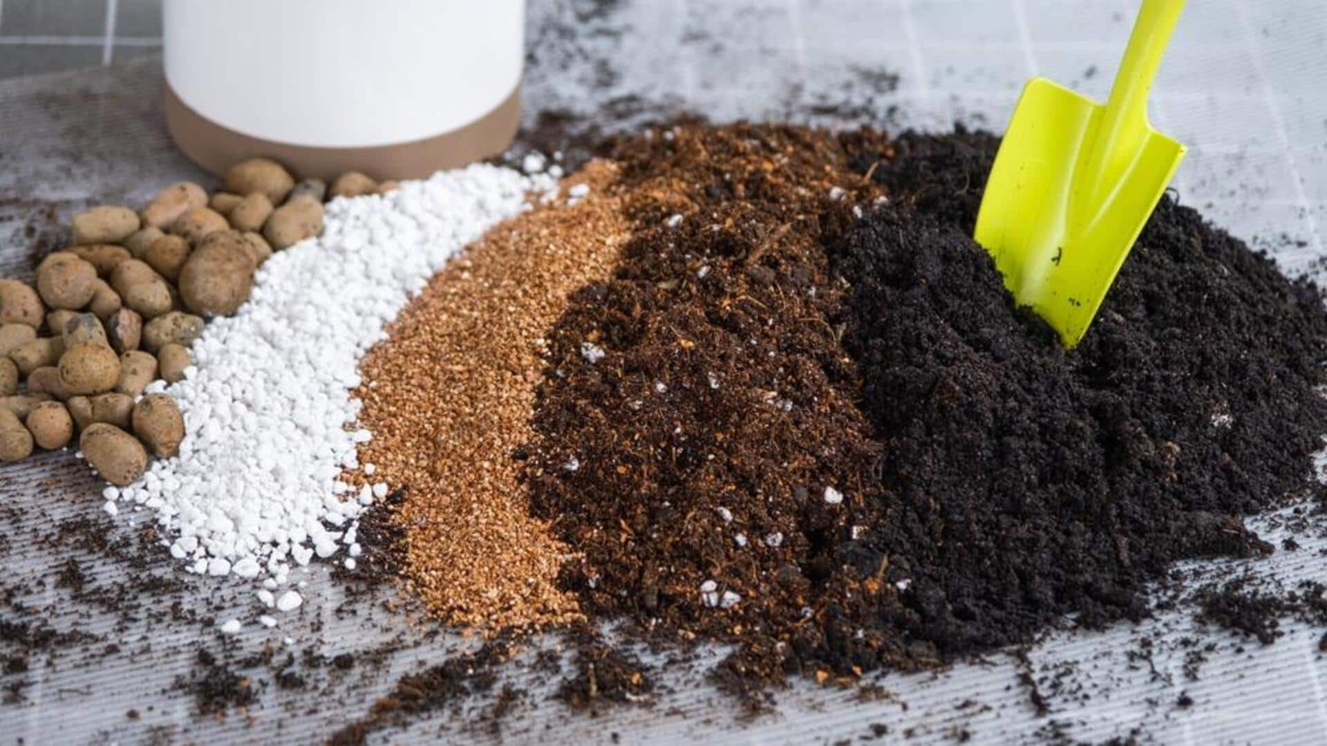 தொட்டி மண்ணை வளமாக்க உதவும் 5 இயற்கைச் சேர்க்கைகள்