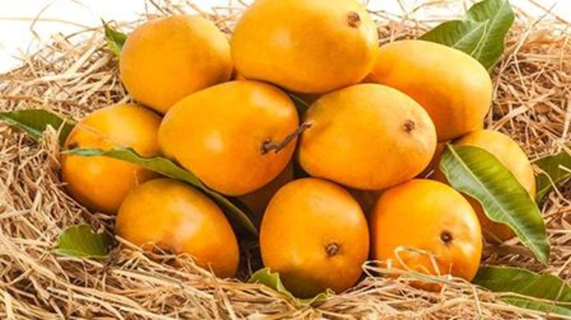மாம்பழங்களை விரைவாக பழுக்க வைக்க உதவும் 5 எளிய இயற்கை வழிமுறைகள்!