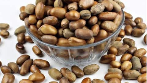 கலபாஷ் நட்மெக்: ஆப்பிரிக்காவின் சுவையான சமையல் ரகசியங்கள்!