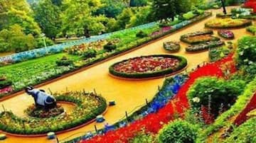 ஊட்டியில் ரோஜா கண்காட்சி நாளை முதல் துவக்கம் 