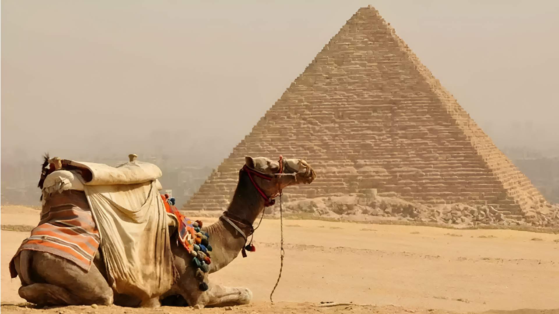 எகிப்தின் பிரமிட் பள்ளத்தாக்கில் தமிழ்-பிராமி கல்வெட்டுகள் கண்டுபிடிப்பு; கடல் வணிகத்திற்கு புதிய சான்று