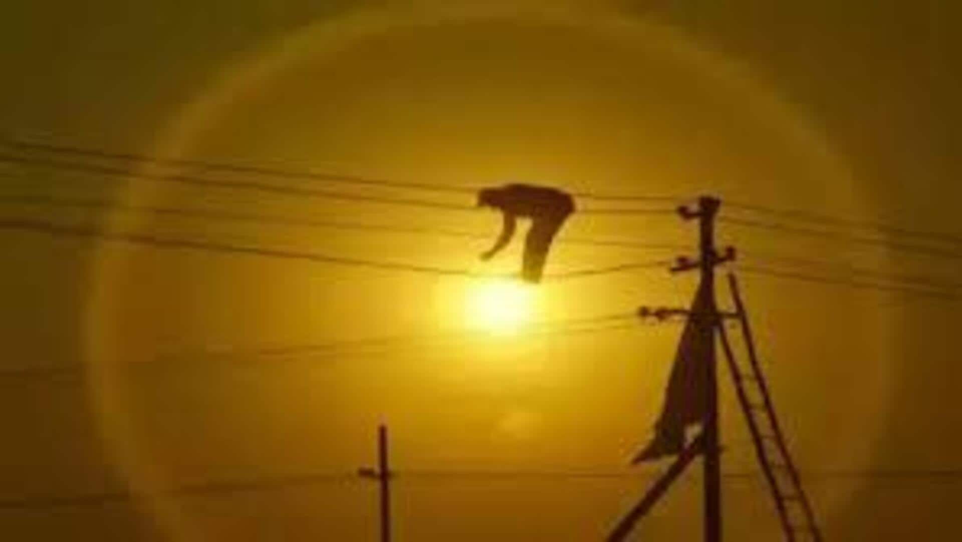 உங்கள் ஏரியாவில் நாளை (செப்டம்பர் 6) மின்தடை இருக்கிறதா என தெரிந்துகொள்ளுங்கள் உங்கள் ஏரியாவில் நாளை (செப்டம்பர் 6) மின்தடை இருக்கிறதா என தெரிந்துகொள்ளுங்கள்