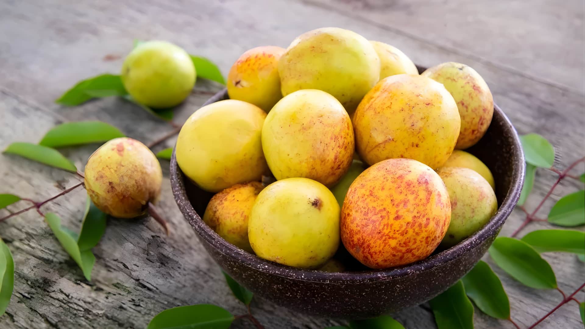 மங்காபா பழம்: உங்கள் உடல் ஆரோக்கியத்தை மேம்படுத்தும் வெப்பமண்டல பொக்கிஷம்