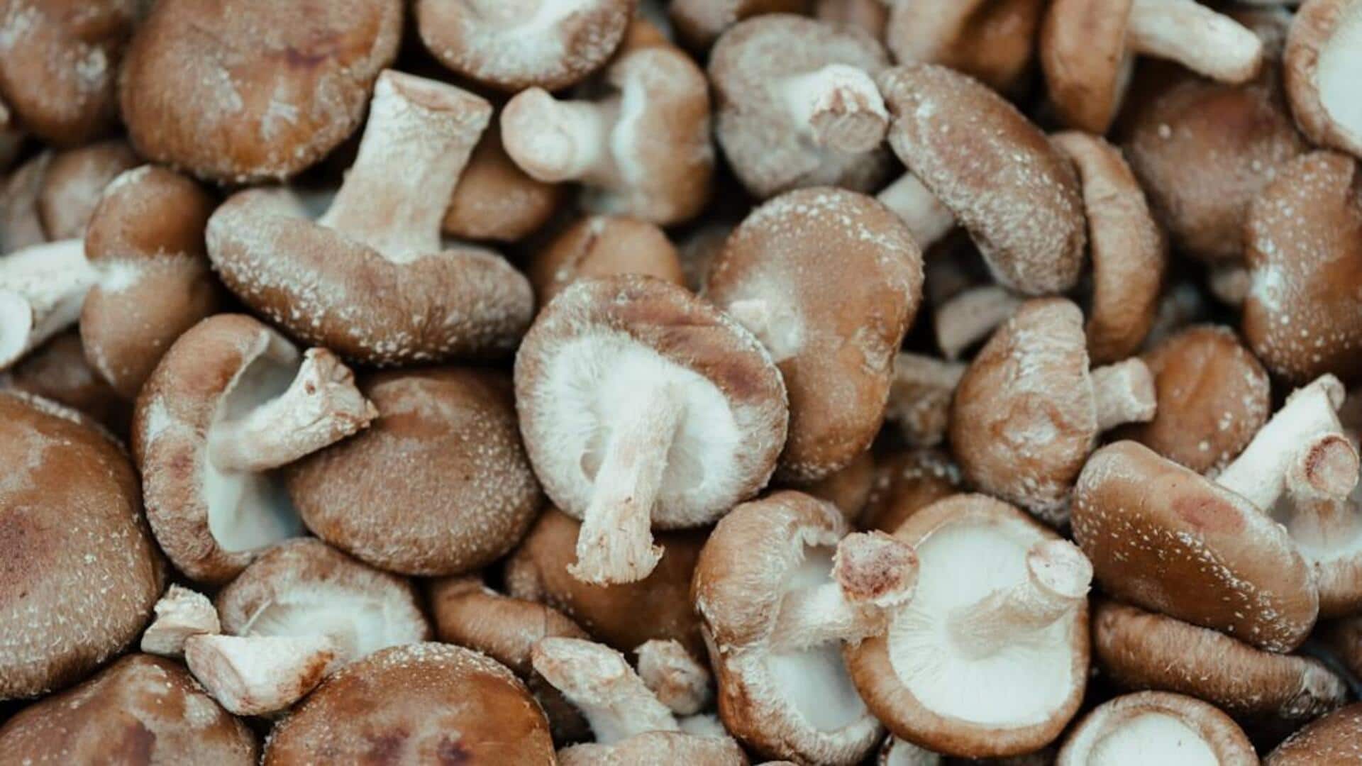 சாகா காளான்கள் (shiitake mushroom) உங்கள் உணவில் ஏன் கட்டாயம் இருக்க வேண்டும்?