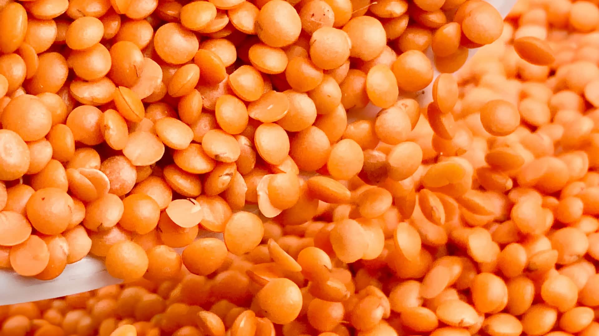 மசூர் பருப்பு பிடிக்குமா? இந்த உணவுகளை விரும்புவீர்கள்