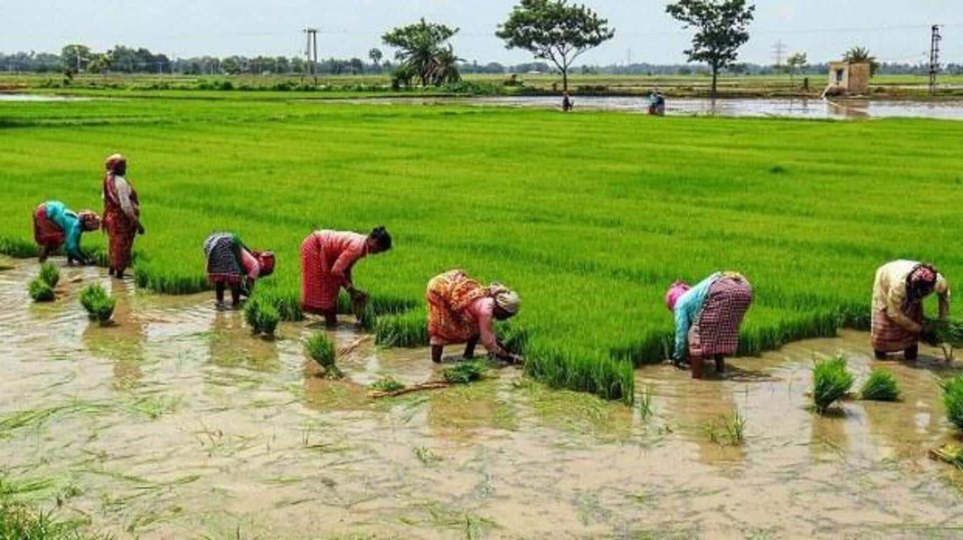 விவசாயிகளுக்கு ஆதார் மாதிரி அடையாள அட்டைகள்: மார்ச் மாதத்திற்குள் 5 கோடி இலக்கு