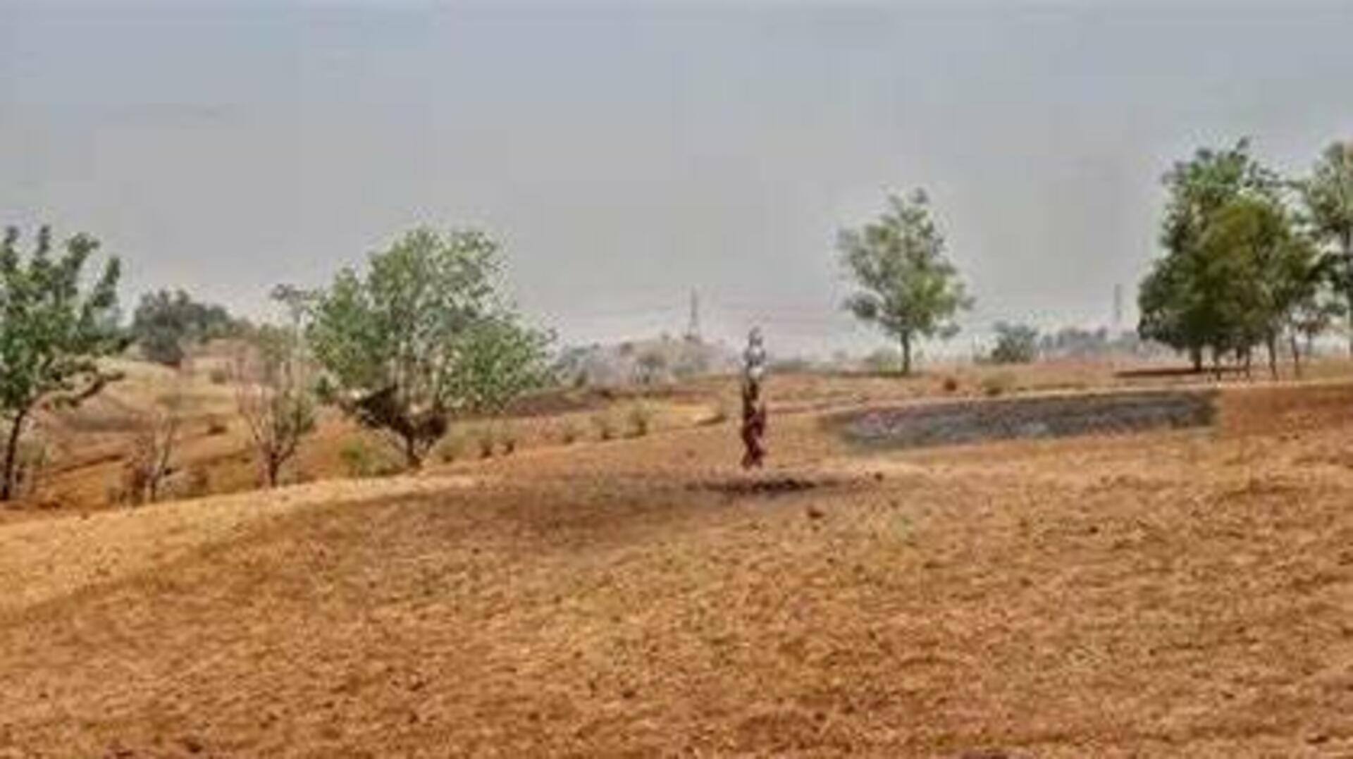 தமிழகத்தில் 6 மாவட்டங்களில் 25 வட்டாரங்கள் வேளாண் வறட்சி பகுதிகள் என அறிவிப்பு 