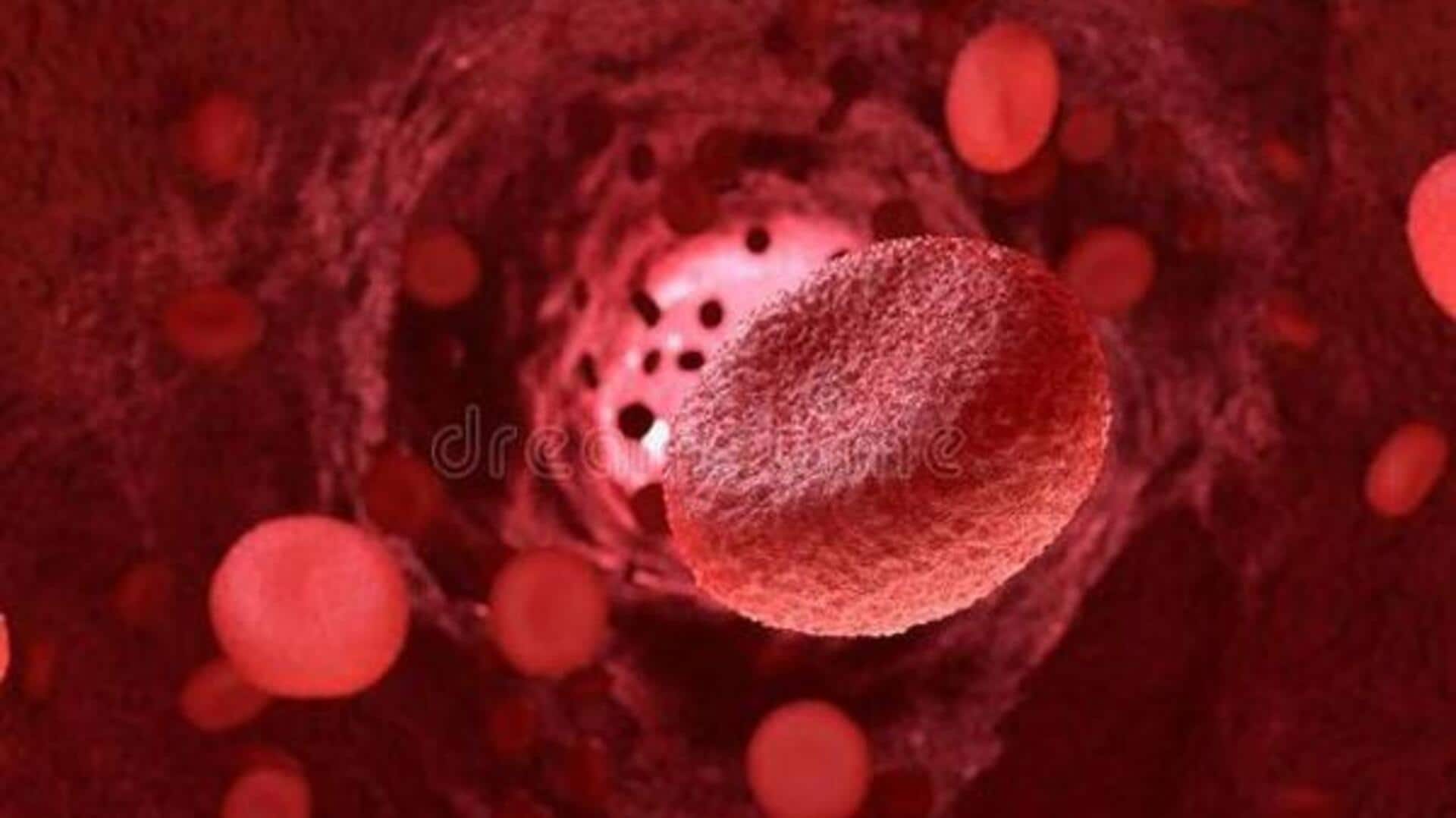 புவி வெப்பமடைவதால் பெண்களுக்கு புற்றுநோய் பாதிப்பு அதிகரிப்பு; ஆய்வில் வெளியான அதிர்ச்சித் தகவல் புவி வெப்பமடைவதால் பெண்களுக்கு புற்றுநோய் பாதிப்பு அதிகரிப்பு; ஆய்வில் வெளியான அதிர்ச்சித் தகவல்