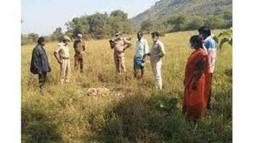 கரூரில் மர்ம விலங்கு தாக்கி 6 ஆடுகள் பலி - பீதியில் கிராம மக்கள்