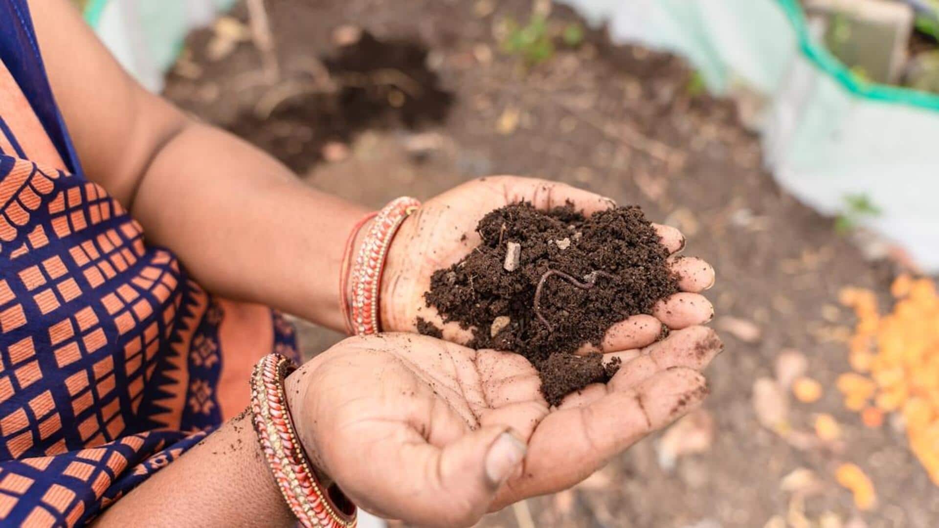 வீட்டு மூலிகை செடிகளுக்கு உரமிடும்போது தவிர்க்க வேண்டிய  5 தவறுகள்