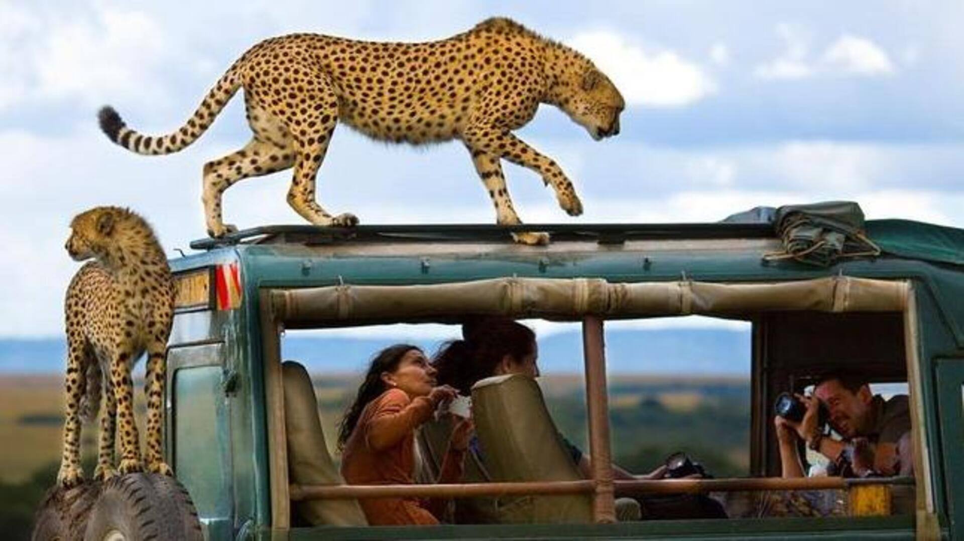 ஜனவரி 2024 முதல் அனைவருக்கும் இலவச விசா வழங்கும் கென்யா