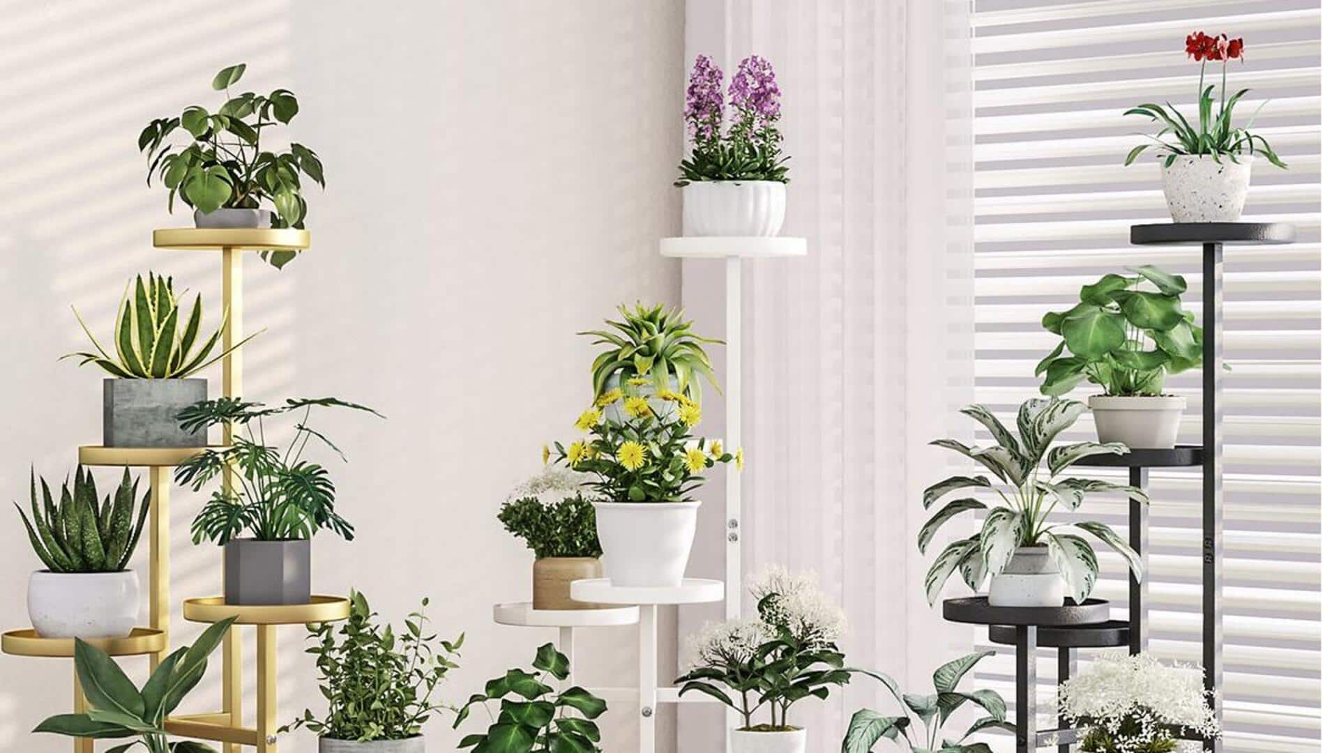 சிறு இடங்களுக்கான ஸ்மார்ட் செடித் தொட்டிகள்: ஒரு பட்டியல்