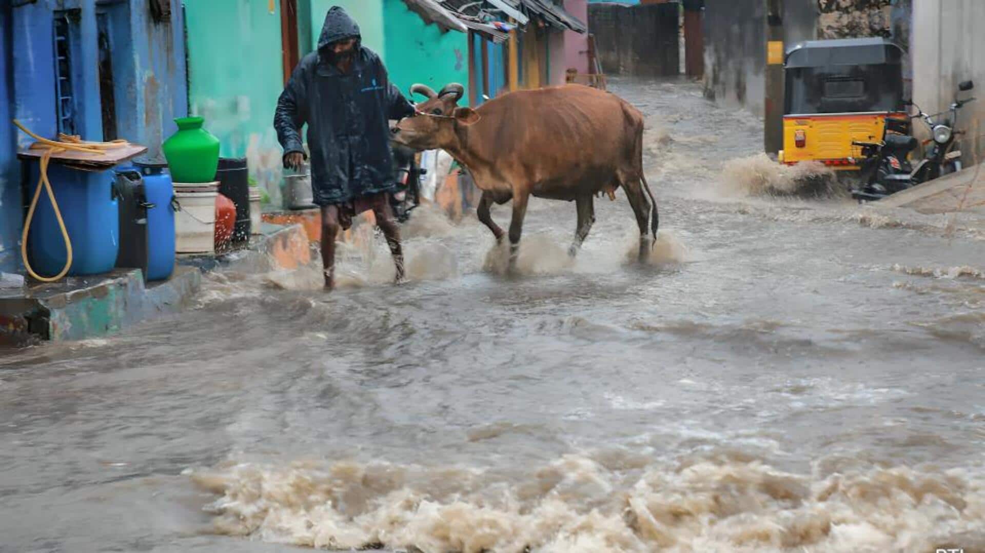 தமிழகத்தில் 17 மாவட்டங்களுக்கு வெள்ள அபாய எச்சரிக்கை; இந்திய வானிலை ஆய்வு மையம் எச்சரிக்கை