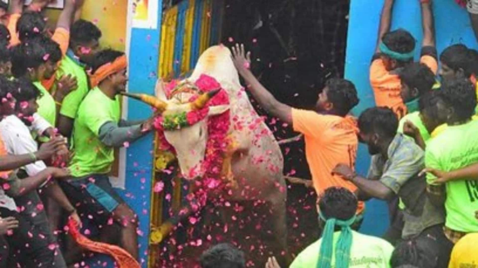 மதுரை அவனியாபுரம் ஜல்லிக்கட்டில் முதல்முறை; சிறந்த காளைக்கு முதல்வர் சார்பில் டிராக்டர் பரிசு