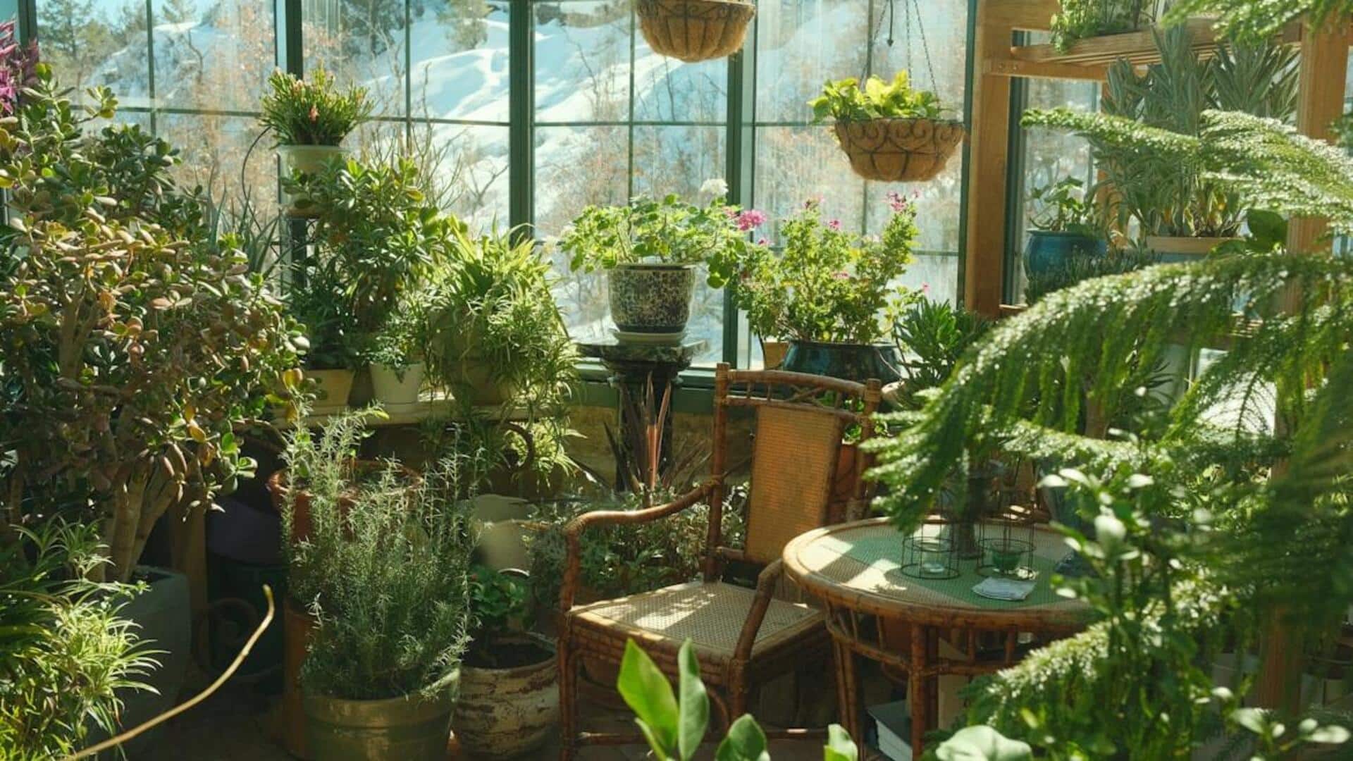 வீட்டுத் தோட்டச் செடிகளின் வளர்ச்சியைத் தூண்டும் 5 நன்மை பயக்கும் பூஞ்சைகள்