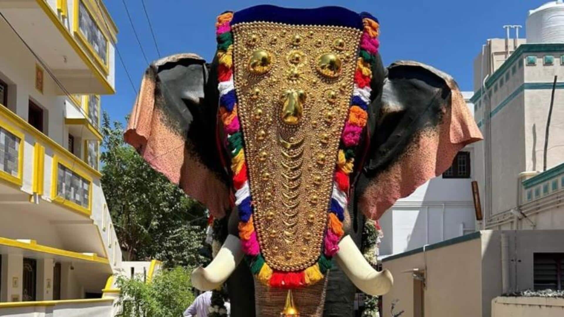 அருப்புக்கோட்டை கோயிலுக்கு இயந்திர யானையை நன்கொடையாக வழங்கிய நடிகை த்ரிஷா; பின்னணி என்ன? அருப்புக்கோட்டை கோயிலுக்கு இயந்திர யானையை நன்கொடையாக வழங்கிய நடிகை த்ரிஷா; பின்னணி என்ன?