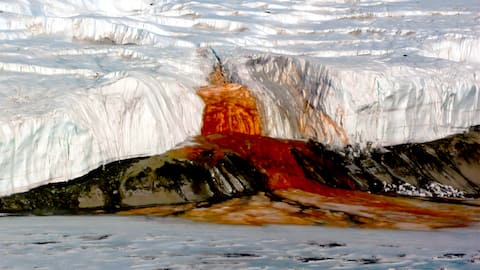 பனிக்கட்டியிலிருந்து வழியும் இரத்தம்! அண்டார்டிகாவில் மட்டும் காணப்படும் விசித்திர நீர்வீழ்ச்சி! இதன் பின்னால் இருக்கும் அறிவியல் உண்மை என்ன?