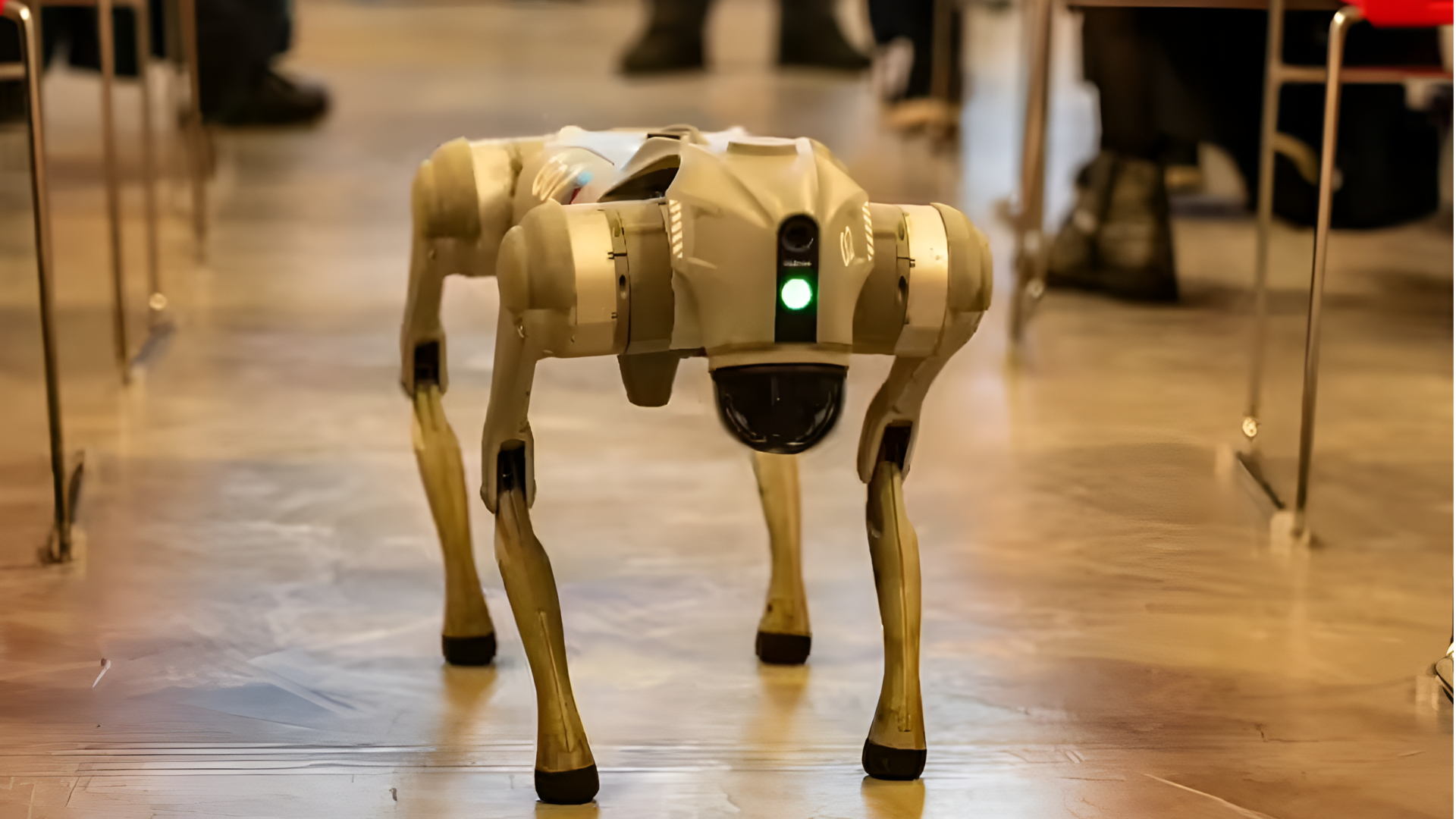 AI தாக்க உச்சி மாநாட்டிலிருந்து வெளியேற உத்தரவிடப்பட்டு நொய்டாவின் பிரபல கால்கோடியாஸ் பல்கலைக்கழகம்