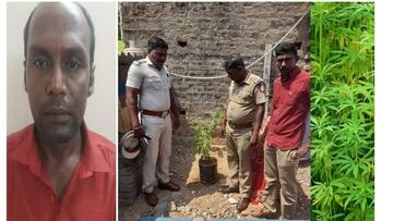 வீட்டில் கஞ்சா செடி வளர்த்த தந்தை - மகனால் சிக்கிய தந்தை