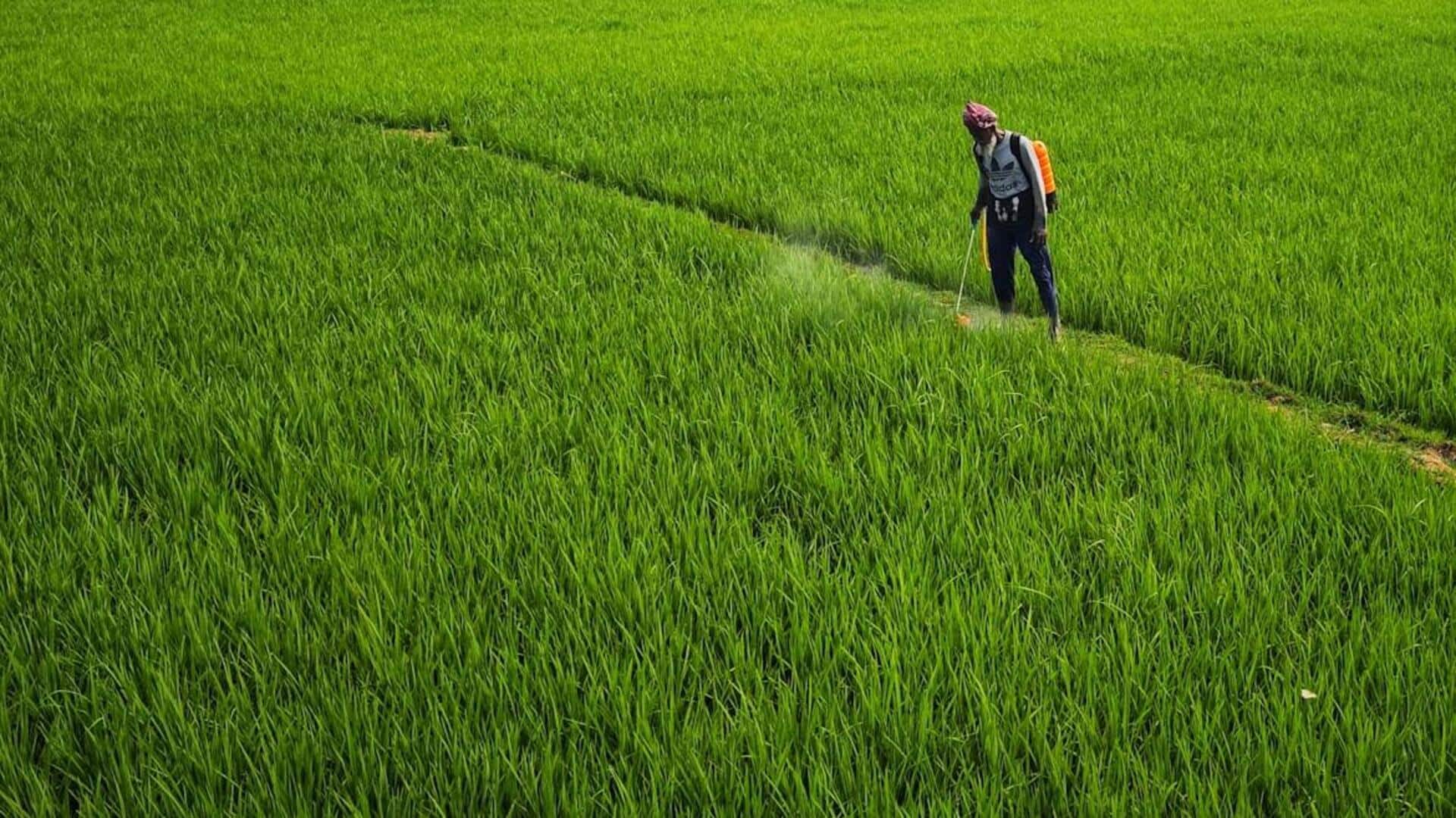 "ஆர்கானிக் என்றால் ரசாயனம் இல்லையென்று அர்த்தமா?" இயற்கை பூச்சிக்கொல்லிகளின் பின்னணியில் உள்ள அறிவியல்