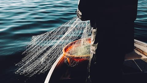 பங்களாதேஷத்தில் இருந்து வரும் மீன்களை சாப்பிடாதீங்க! மேகாலயாவின் 2 மாவட்டங்களில் அதிரடி தடை!