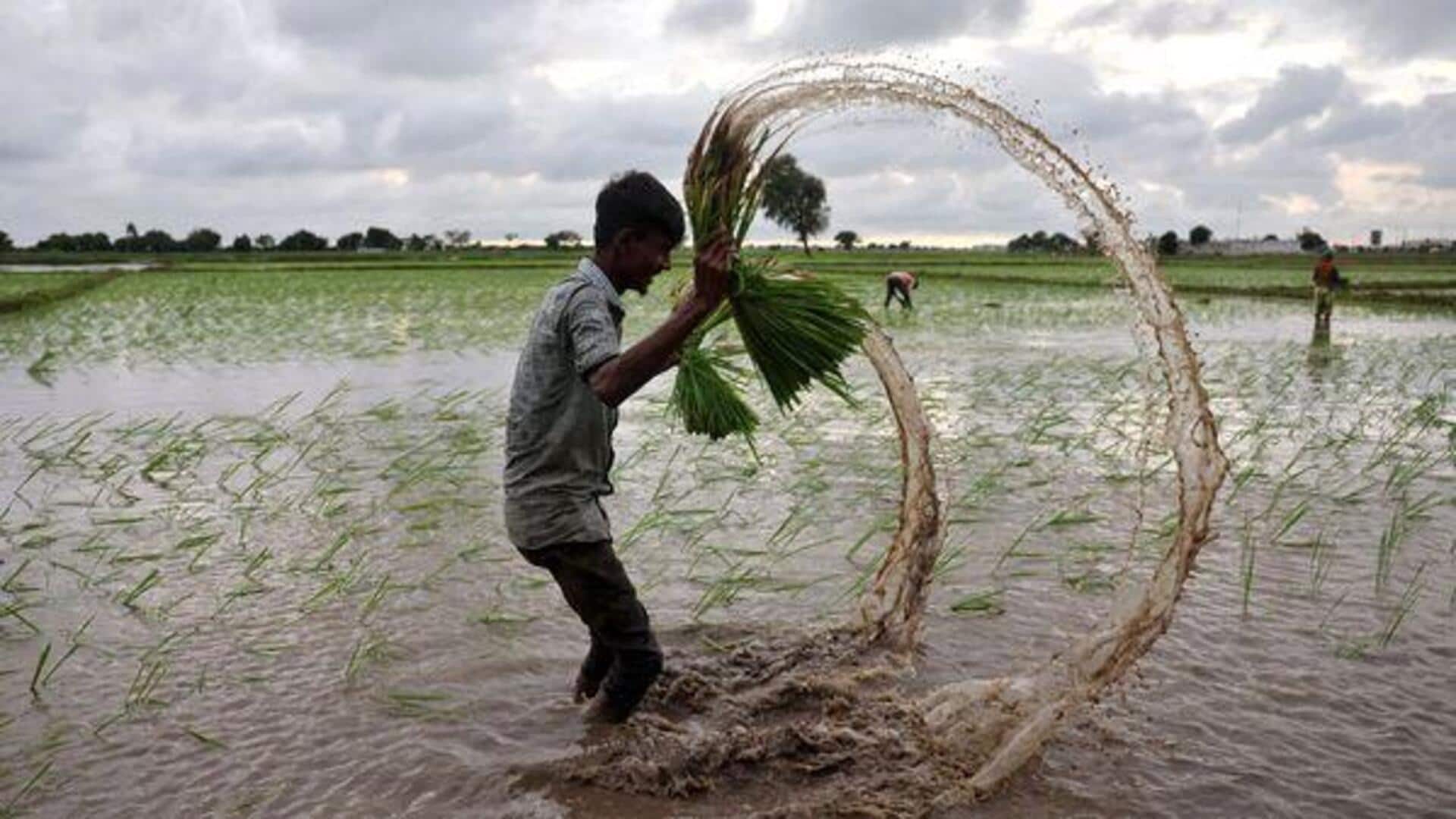 ஆகஸ்ட் மற்றும் செப்டம்பர் மாதங்களில் இயல்பை விட அதிக மழைப்பொழிவு; வானிலை ஆய்வு மையம் எச்சரிக்கை