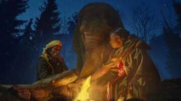 ஆஸ்கார் விருதை வென்ற 'The elephant Whisperers' திரைப்படத்தை குறித்து சில சுவாரஸ்ய தகவல்கள்