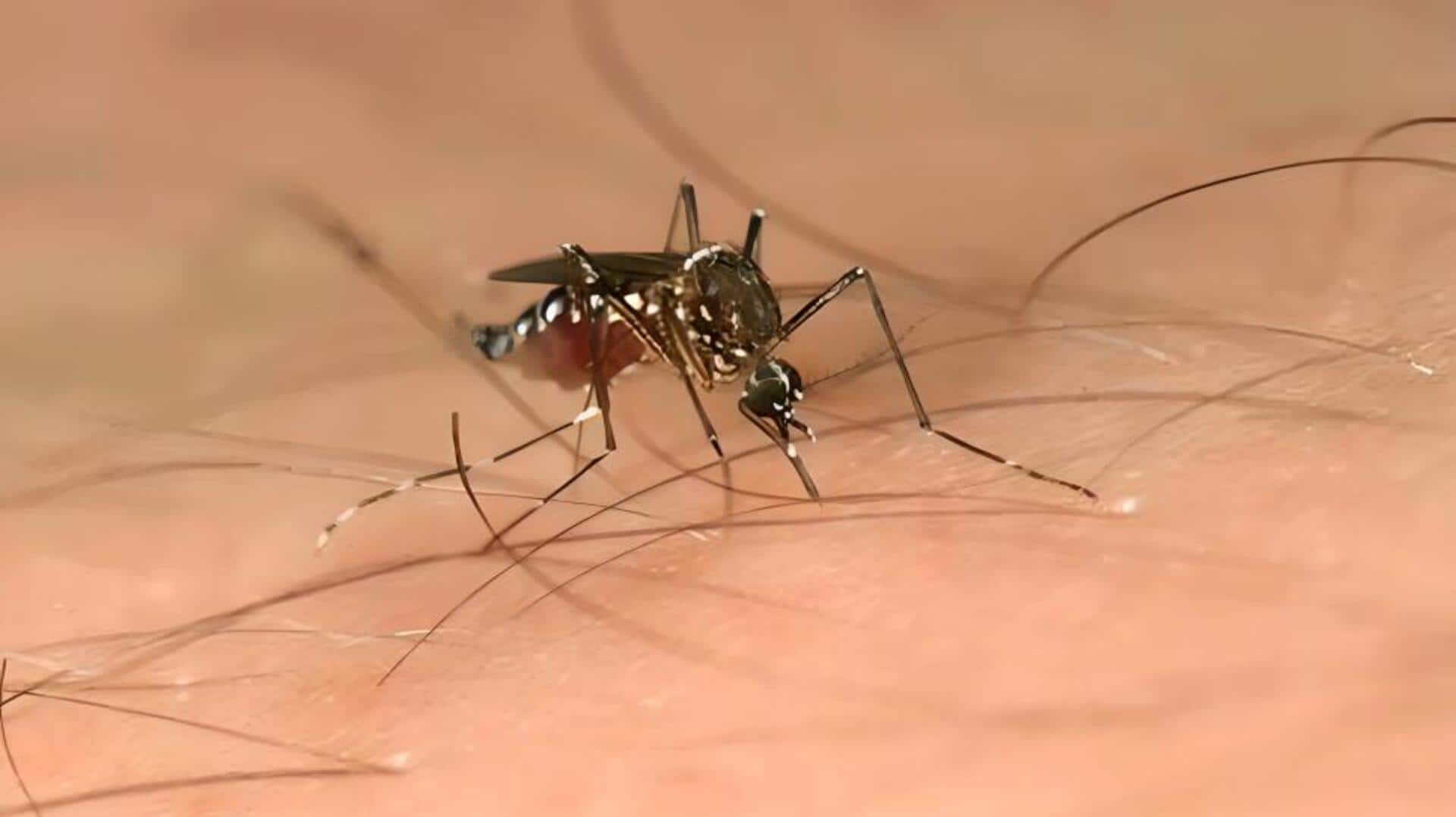 இனி கொசுவை விரட்ட டிட்டர்ஜென்ட் போதும்: ஐஐடி டெல்லி ஆராய்ச்சியாளர்கள் அசத்தல் கண்டுபிடிப்பு