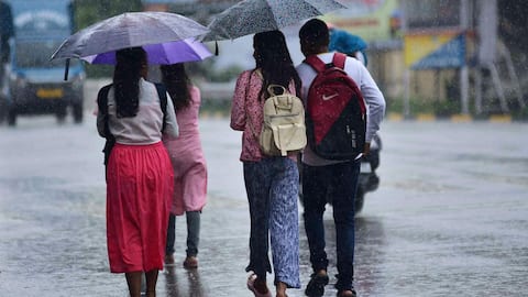 தமிழக வானிலை அறிக்கை: நீலகிரி, திண்டுக்கல் உட்பட 7 மாவட்டங்களில் இன்று கனமழைக்கு வாய்ப்பு